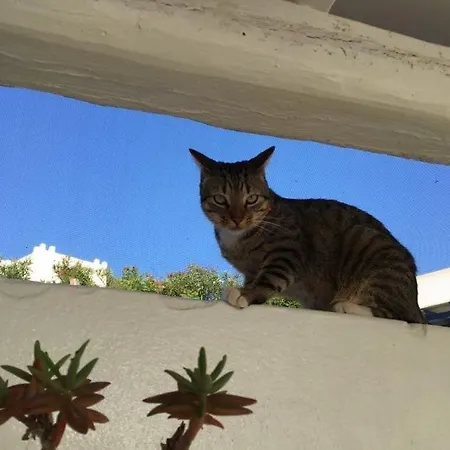 La Maison De Bella 度假居