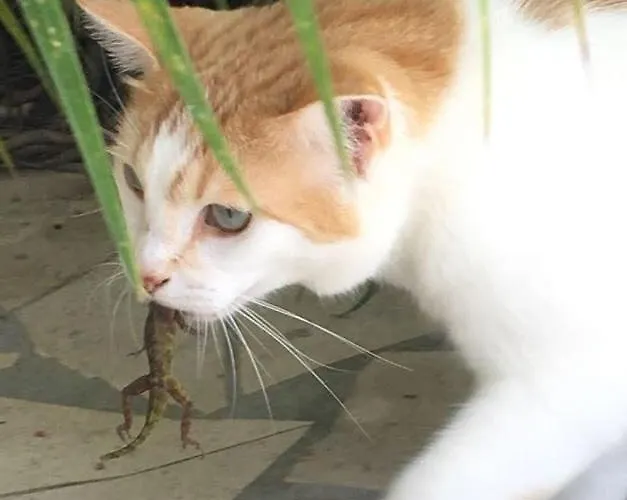 La Maison De Bella Casa de Férias