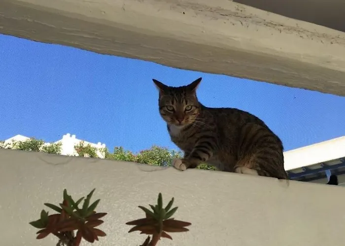 La Maison De Bella Сasa de vacaciones